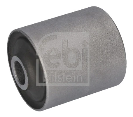 Bushing, leaf spring